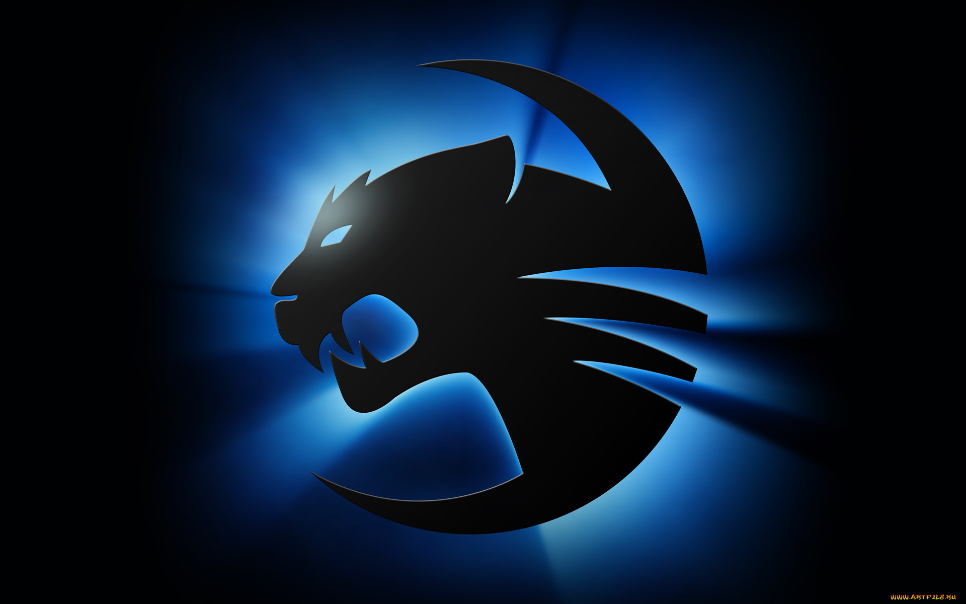 , roccat